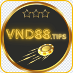 vnd88tips is swapping clothes online from 