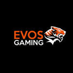 evosgaming1 is swapping clothes online from 