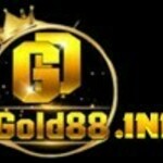 GOLD88 is swapping clothes online from 