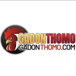 Đá gà trực tiếp Gà Đòn Thomo C1 is swapping clothes online from 