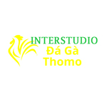 Đá Gà Trực Tiếp Thomo is swapping clothes online from 