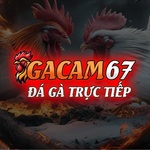 gacam67 is swapping clothes online from 
