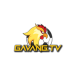 gavangtv is swapping clothes online from 