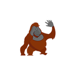 orangutan is swapping clothes online from 