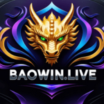 conggamebaowin is swapping clothes online from 