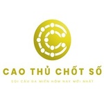 caothuchotso2 is swapping clothes online from 