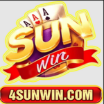 4sunwincom is swapping clothes online from 