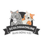 ecologiaonline is swapping clothes online from 