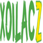 xoilaczzzx is swapping clothes online from 