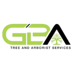 gbatreeservice is swapping clothes online from 