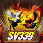 dagasv339 is swapping clothes online from 