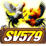 sv579thomo is swapping clothes online from 