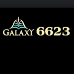 vn6623 is swapping clothes online from 