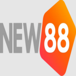 new88zuno1 is swapping clothes online from 