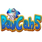 Bancah5 is swapping clothes online from 
