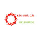 keonhacaifieldguide is swapping clothes online from 