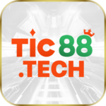 TIC88 is swapping clothes online from 
