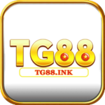 TG88 ink is swapping clothes online from 