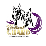 dobermankennel is swapping clothes online from 