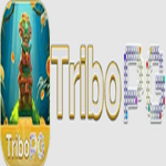 tribopgnetbr is swapping clothes online from 