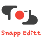 snappeditt is swapping clothes online from 