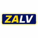 zalviaorg is swapping clothes online from 