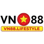 vn88lifestyle is swapping clothes online from 