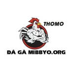 ĐÁ GÀ TRỰC TIẾP is swapping clothes online from 