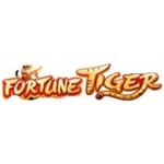 fortunetiger77net is swapping clothes online from 