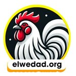 dagaelwedad is swapping clothes online from 