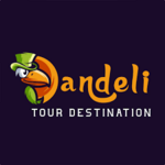 dandeliresorts is swapping clothes online from 