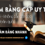 lambangnhanhsc is swapping clothes online from 