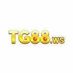 TG88 WS is swapping clothes online from 