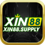 xin88supply is swapping clothes online from 