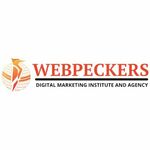 digitalmarketingagencylucknow is swapping clothes online from 