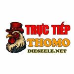 tructiepdagadie is swapping clothes online from 
