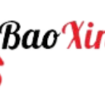 baoxinviecinfo is swapping clothes online from 