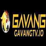 gavangtvio is swapping clothes online from 