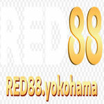 red88yokohama is swapping clothes online from 
