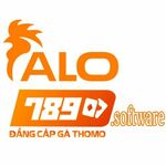 alo789software is swapping clothes online from 