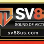 sv88provip1 is swapping clothes online from 