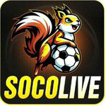 socolive10cc is swapping clothes online from 