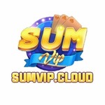 sumvipcloud is swapping clothes online from 