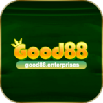 good88enterprises is swapping clothes online from 