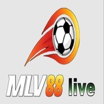 mlv88live is swapping clothes online from 