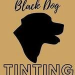 blackdogtinting is swapping clothes online from Bozeman, new jersy