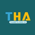 orgvc thabet8 is swapping clothes online from 