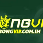 Bong Vip is swapping clothes online from hocimin, 