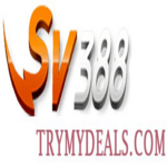 sv388trymydeals is swapping clothes online from 