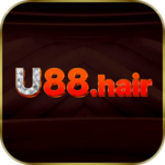 u88hair is swapping clothes online from 